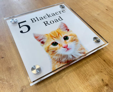 Custom cat sign